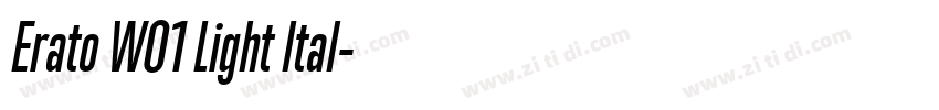 Erato W01 Light Ital字体转换